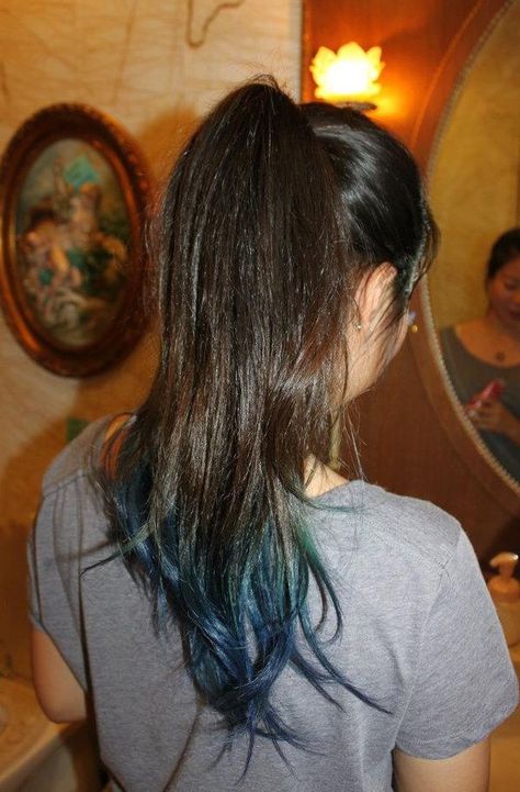 Brown and blue ombre ends^ Blue Tips Brown Hair, Long Brown Hair With Blue Highlights, Blue Ends Hair Brown, Brown Hair With Blue Tips, Blue Hair Ends, Blue Ends Hair, Brown Hair With Colored Tips, Blue Dip Dye Hair, Blue Tips Hair