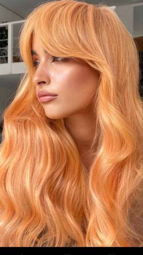 Creamsicle Hair, Orange Hair Colors, Blonde Orange Hair, Apricot Blonde, Peachy Pink Hair, Orange To Blonde Hair, Pastel Orange Hair, Apricot Hair, Orange Hair Color