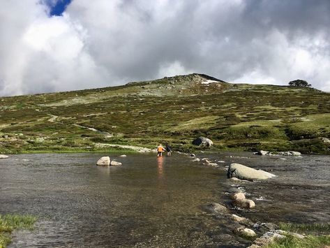 Mount Kosciuszko - Main Range Summit loop - river crossing Mount Kosciuszko, Camping Trip, Camping Trips, In Summer, Us Travel, Climbing, Travel Inspiration, Maine, Hiking