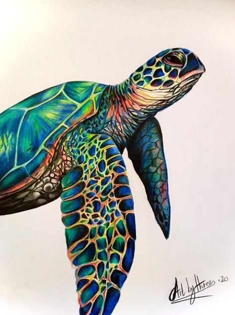 Sea Turtle Drawing, Image Zen, Sea Turtle Pictures, Sea Turtle Tattoo, Sea Turtle Painting, Turtle Watercolor, Turtle Drawing, Prismacolor Art, Sea Turtle Art