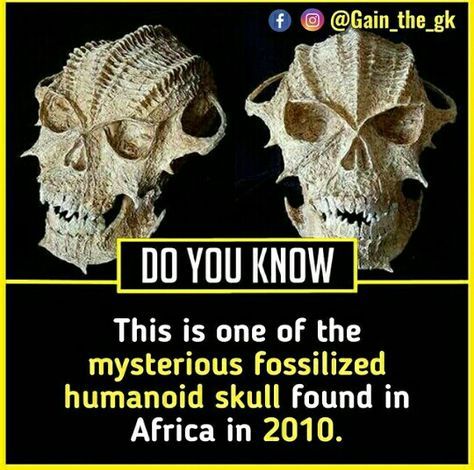 Disturbing Facts, Supernatural Facts, Weird History Facts, Wierd Facts, Interesting Science Facts, Ancient History Facts, Scary Facts, True Interesting Facts, Interesting Facts About World