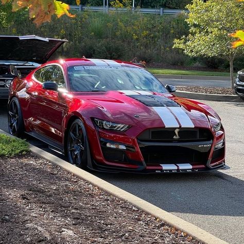 Mustang Gt500, Ford Mustang Shelby Gt500, Shelby Gt, Ford Shelby, Shelby Gt500, Ford Mustang Shelby, Mustang Shelby, Dream Garage, Ford Mustang