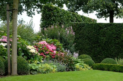 Border Edwardian Garden, Garden Site, Creative Gardening, Front Yard Garden, Garden Borders, Garden Pool, Green Garden, Country Gardening, Exotic Plants