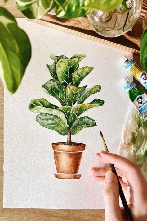 Learn how to paint the popular fiddle leaf fig houseplant with these cool watercolor plant painting reference. This plant has gorgeous large leaves that make it a real showstopper. Watercolor Plants Painting, Fiddle Leaf Fig Painting, Ficus Drawing, Fiddle Leaf Fig Drawing, Plant Reference Drawing, Watercolor Plant Paintings, How To Paint Plants, Watercolor Art Plants, Plant Painting Ideas