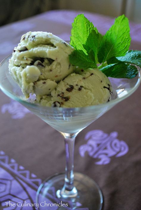 Mint Chocolate Gelato Mint Chocolate Gelato, Mint Chocolate Chip Gelato Recipe, Coconut Gelato, Chocolate Gelato, Mint Gelato, Coconut Recipe, Ice Cream Month, National Ice Cream Month, Ice Cream Flavor