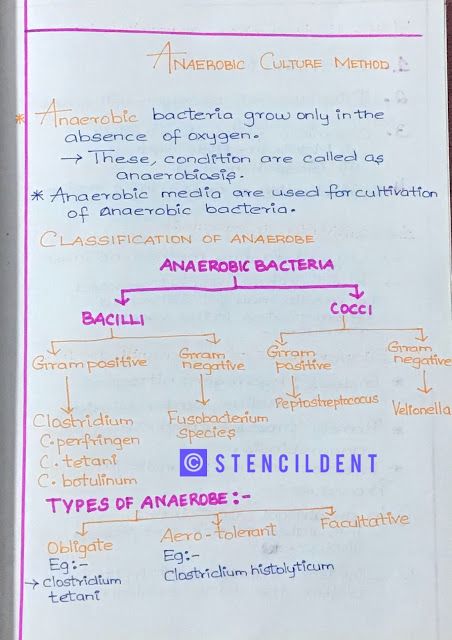 Bacteria Microbiology Notes, Microbiology Bacteria Notes, Culture Media Microbiology Notes, Medical Microbiology Notes, Notes Methods, Bacteria Microbiology, Microbiology Notes, Microbiology Study, Easy Notes