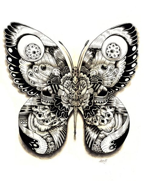 Iain Macarthur | Flickr - Photo Sharing! Muster Tattoos, White Drawing, 1 Tattoo, Grafic Design, Black And White Drawing, Arte Animal, Zentangle Art, Butterfly Art, A Butterfly