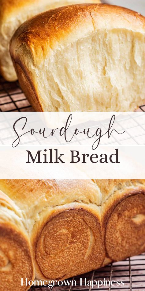 Dough Starter Recipe, Loaf Bread Recipe, Milk Bread Recipe, Japanese Milk Bread, Sourdough Bread Sandwiches, Sourdough Starter Discard Recipe, Homemade Sourdough Bread, Homemade Sourdough, Sourdough Starter Recipe