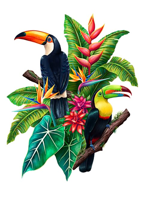 Costa Rica Art, Parrot Painting, Vegetable Illustration, Thanksgiving Pictures, Illustration Studio, Angel Tattoo Designs, Organic Lines, Ukrainian Art, Tropical Birds