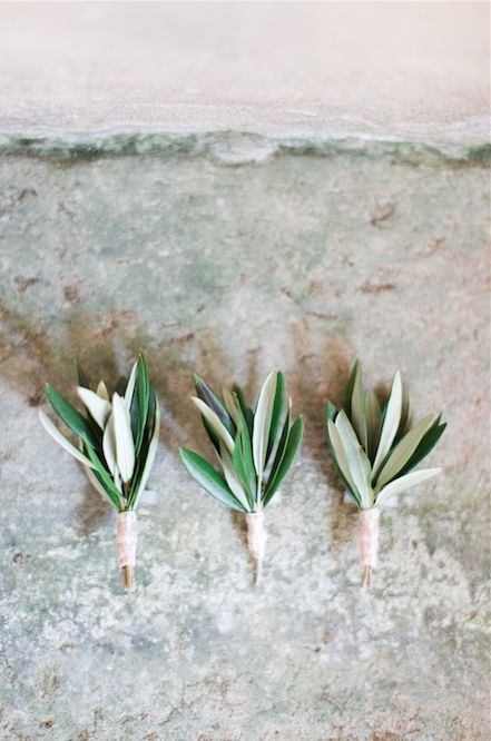 Simple buttonholes for a Tuscan wedding Olive Branch Wedding, Italian Destination Wedding, Olive Wedding, Button Holes Wedding, Greek Wedding, Tuscany Wedding, Second Weddings, Olive Leaf, Italian Wedding