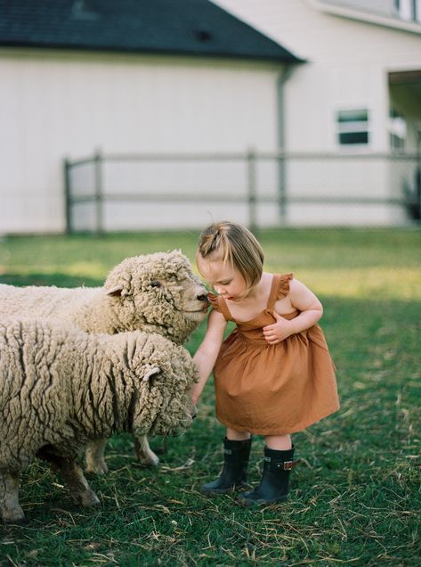 Babydoll Sheep with a toddler in a farm dress and boots. Babydoll Sheep, Farm Pets, Prey Animals, Livestock Farming, Farm Kids, Future Farms, Farm Lifestyle, Farm Photography, Hobby Farm