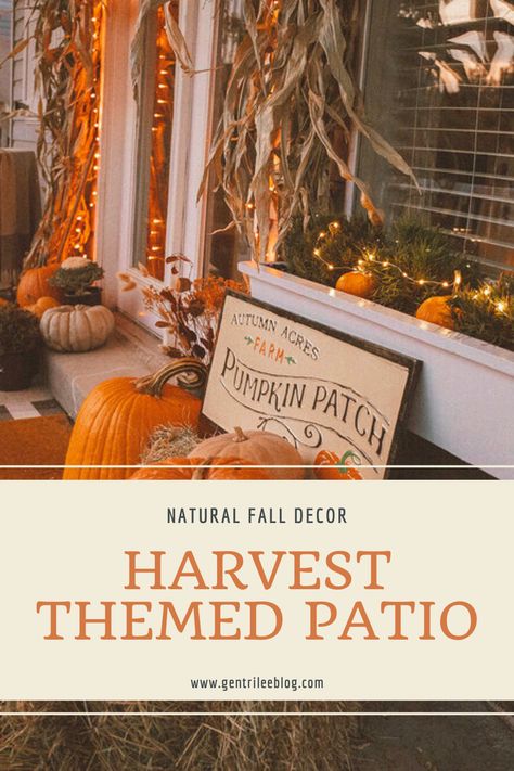 Fall Deck Ideas, Harvest Decorations For Porch, Fall Deck Decor, Fall Bench Decor, Fall Patio Ideas, Fall Patio Decorating Ideas, Diy Fall Decor Outdoor, Outdoor Area Rugs Patio, White Wicker Patio Furniture