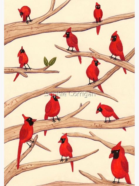 "Cardinals" Photographic Print by SophieCorrigan | Redbubble Sophie Corrigan, Bird Cottage, Pretty Artwork, Popular Art, Digi Scrap, Red Birds, Bear Pattern, Freelance Illustrator, Punctuation