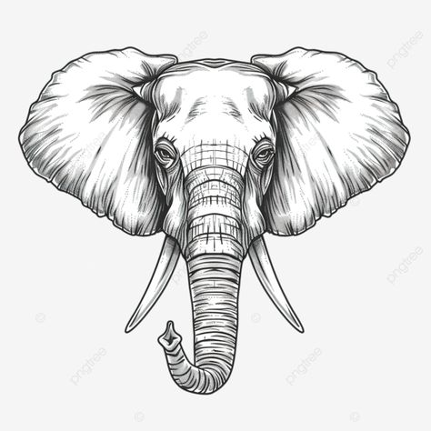 elephant head line art abstract africa african png Elephant Goddess, Elephant Face Drawing, Elephant Head Drawing, Female Flash, Elephant Line Art, Head Line Art, Hammer Drawing, Elephant Png, Elephant Coloring