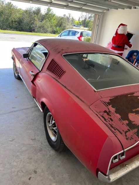 1967 Ford Mustang Red RWD Manual fastback for sale 65 Mustang Convertible, 1967 Mustang Fastback, My Dad Died, Mustang Red, Mustang 1967, Ford Mustang 1967, 65 Mustang, 1967 Ford Mustang, 1967 Mustang