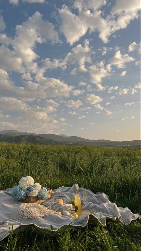 Picnic In A Field Of Flowers, Solo Picnic Aesthetic, Meadow Picnic, Grace Start, Summer In The Country, Soft Life Era, Soft Lifestyle, Dream Life Vision Board, A Soft Life