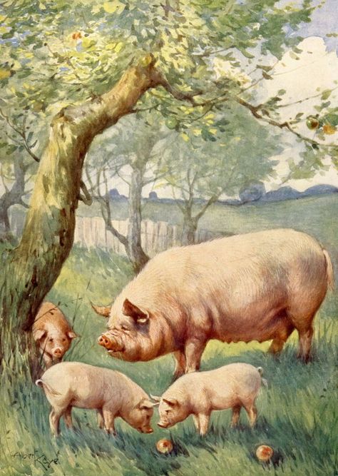 Pig Drawing, Pig Illustration, Pig Art, Hippopotamus, Farm Yard, Pigs, Animal Drawings, Farm Animals, No. 2