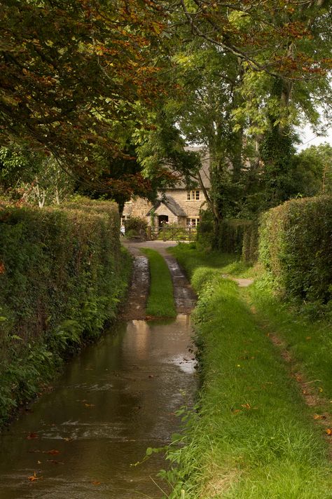 Literally a cottage off a river, while down near Crewkerne, Somerset Betty Neels, Somerset England, River Cottage, Cottage Aesthetic, Cottage In The Woods, British Countryside, Cottage Core Aesthetic, Foto Art, English Countryside