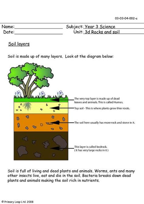 PrimaryLeap.co.uk - Soil layers Worksheet Soil Worksheet, Rock Cycle Worksheet, Rocks Worksheet, Layers Of Soil, Soil Activities, Miniature Nature, Ks2 Science, Grade 3 Science, Earth Science Lessons