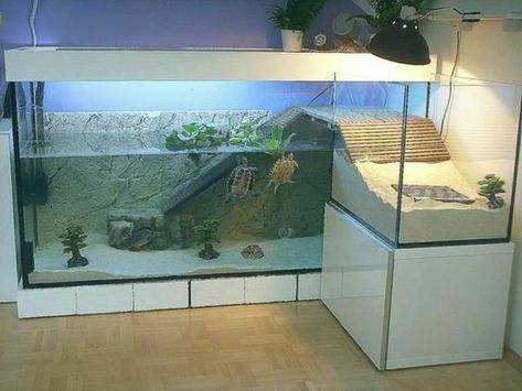 Diy Hermit Crab Habitat, Crab Habitat, Turtle Tank Setup, Hermit Crab Habitat, Turtle Enclosure, Turtle Aquarium, Turtle Care, Turtle Homes, Fish Tank Terrarium