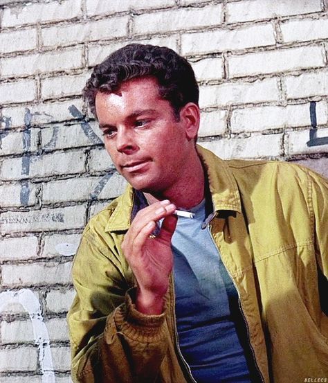 RUSS TAMBLYN. Russ+Tamblyn | Russ Tamblyn as Riff So Talented what a dancer | WEST SIDE STORY West Side Story Riff, West Side Story 1961, Russ Tamblyn, Vintage Theatre, Gym Jacket, Rachel Zegler, West Side Story, The Oscars, Steven Spielberg