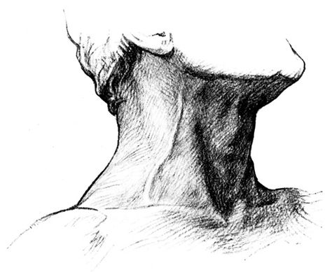 Anatomy of the Neck - Surface Markings of the Side and Front of the Neck Drawing A Neck, Neck Sketch, Anatomy Of The Neck, Pencil Art Love, Neck Drawing, Neck Art, Spiderman Art Sketch, Grunge Art, Color Images