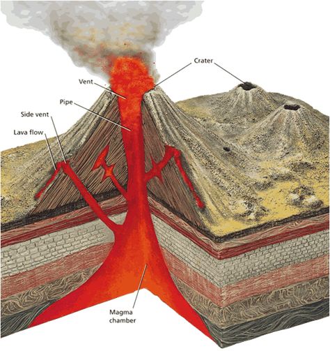 Cinder cone diagram Volcano Diagram, Cinder Cone Volcano, Magma Chamber, Lava Flow, Volcano, Quick Saves, Art