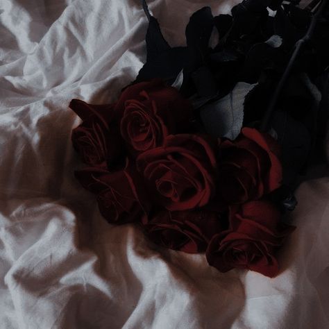 Belle Aesthetic, Red Roses, Roses, Flowers, Red, White, Black