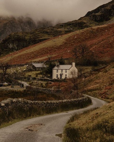 Ogwen valley Capture Wales on Instagram: “Atmospheric scenes in Snowdonia when day trips were allowed 🙌😍🏴󠁧󠁢󠁷󠁬󠁳󠁿 ➤ Captured by @marilloydphotos ➤ Selected by @boltonmarketing ⠀…” Wales Snowdonia, Snowdonia, Wales, Day Trips, Country Roads, Road, Instagram