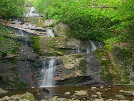 12 Best Things To Do In Black Mountain, North Carolina | Trip101 Black Mountain North Carolina, Black Mountain Nc, Carolina Do Norte, Camping Colorado, Black Mountain College, Mountain Vacation, Pisgah National Forest, Nc Mountains, North Carolina Mountains