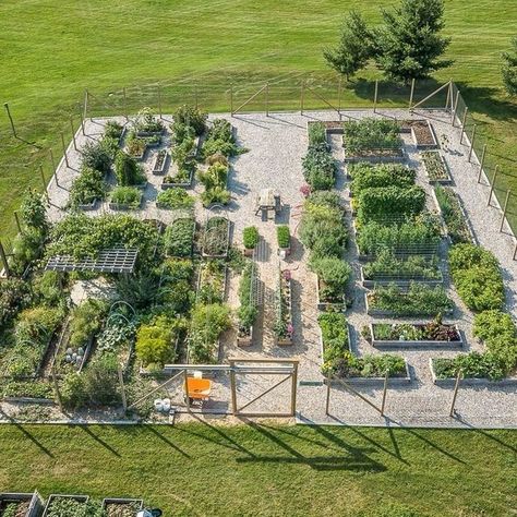 Hobby Farms Layout, Raised Bed Garden Design, Garden Pond Design, Vegetable Farming, Farm Layout, Veg Garden, Vegetable Garden Design, Tea Garden, Garden Lovers