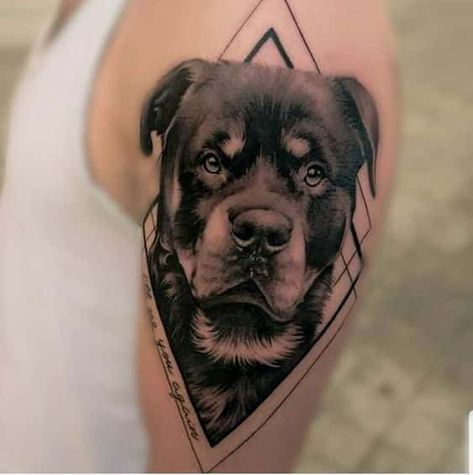 10 Cool Rottweiler Tattoos Drawn On The Bodies Of The Most Loyal Owners - Rottweiler Life Rotweiller Tattoo, Rottweiler Tattoo Ideas, Tatuaje Studio Ghibli, Tattoo Pet, Rottweiler Tattoo, Tatoo Dog, Dog Portrait Tattoo, Small Dog Tattoos, Dog Memorial Tattoos