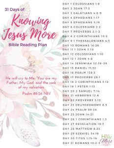 31 Days Daily Bible Reading Plan to Know Jesus More The Holy Mess Writing Scripture, Bible Plans, Bible Help, Daily Bible Reading Plan, Christian Journals, Scripture Writing Plans, Bible Readings, Verse Mapping, Scripture Writing