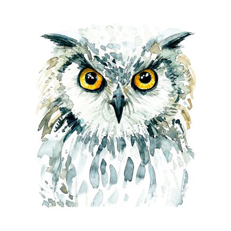 Watercolor Paintings Of Animals, Owl Watercolor, Owls Drawing, Watercolor Pictures, Soyut Sanat Tabloları, Owl Painting, Owl Art, Bird Drawings, Watercolor Inspiration