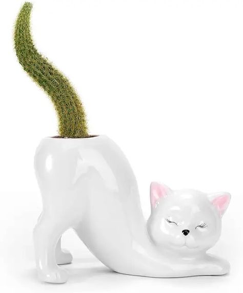 Amazon.com : cat planter Ceramics Cat, Cat Planter, Desk Room, Home Decor White, Cat Plants, Gifts For Cat Lovers, Cat Themed Gifts, Outdoor Plant, Cat Flowers