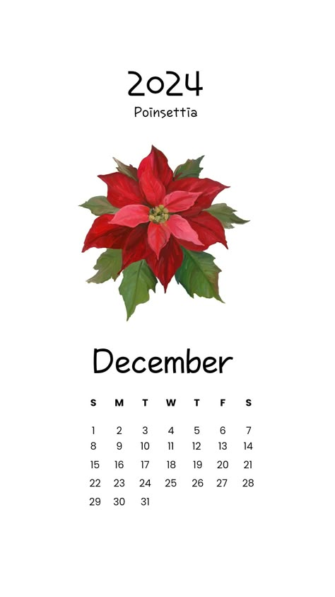 #2024 #calender #2024calender #December #December2024 #Decembercalender #monthlycalender #Poensettia #Christmasflower #Christmasstars #purity #success #goodcheer #celebration  #nationalfloweroftrinidad #nationalfloweroftobago #floralemblemofmadagascar #minimal #aesthetic  #calenderwallpaper #flowers #floral #birthmonthflowers #birthflower #wall calender #trendywallcalender #trendydesign December Month Calendar 2024, December 2024 Calendar, December Calendar 2024, Flower Of December, March Calendar Wallpaper, Birth Calendar, Printable Calender, New Month Wishes, Calender Printables