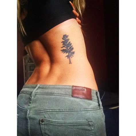 My white pine! #tree #whitepine #treetattoo #pine #evergreen Tree Tattoo Placement, Wanted Quotes, Tree Back Tattoo, Maple Tree Tattoos, Hidden Tattoo, Evergreen Tree Tattoo, Tree Roots Tattoo, Tree Tattoo Meaning, Tree Tattoo Ideas