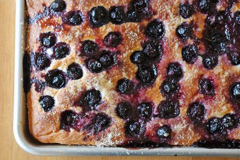 blueberry focaccia Blueberry Focaccia, Foccacia Bread, Focaccia Recipe, Shortbread Bars, Blueberry Breakfast, Weekend Cooking, Blueberry Cream Cheese, Jelly Roll Pan, Focaccia Bread