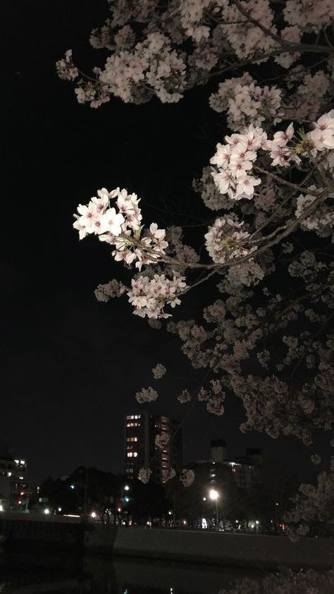 Simple Phone Wallpapers, Night Scenery, Aesthetic Japan, Pretty Landscapes, Japan Aesthetic, Spotify Covers, Night Aesthetic, City Aesthetic, Cute Wallpaper Backgrounds