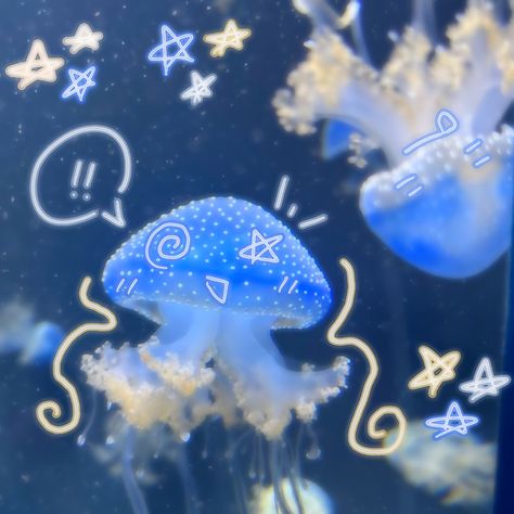 Cool Sea Creatures, Jellyfish Pictures, Sea Jellies, Piskel Art, Blue Jellyfish, Jellyfish Art, Beautiful Sea Creatures, Aquatic Animals, Ocean Vibes