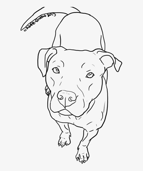 Pit Bull Drawing, Pitbull Drawing, Dog Face Drawing, Dog Drawing Tutorial, Dog Drawing Simple, Pitbull Tattoo, Dog Memorial Tattoos, Colorful Hairstyles, Pitbull Art