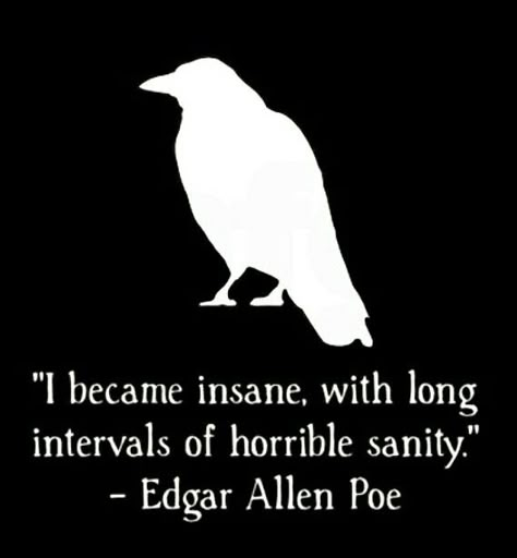 Edgar Allen Poe was an INFP :) Edgar Allen Poe Art, Edgar Allen Poe Poems, Allen Poe Quotes, Edgar Allen Poe Quotes, Edgar Allan Poe Quote, Poe Quotes, Quotes Men, Twisted Quotes, Edgar Allen