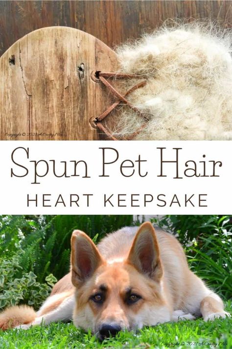 Our dogs shed a lot but instead of cursing them, I decided to make a spun pet hair heart using all the fur that our babies discard so lovingly all over our home. This tutorial will show you how you can turn your fur baby's shed hair into a precious keepsake and includes a video tutorial that will show you how to comb and spin pet hair. #PetCrafts #ACraftyMix #PetKeepsake Dog Fur Keepsake, Pet Fur Memorial, Pet Keepsake Ideas Diy, Dog Hair Keepsake, Spinning Yarn Wheel, Spinning Yarn Drop Spindle, Wool Processing, Hair Heart, Pet Shed