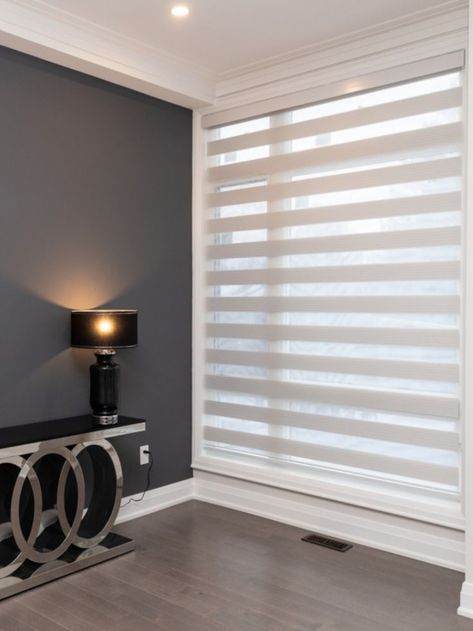 SHADES and blinds Zebra Blinds For Windows, Zebra Blinds With Curtains, Office Blinds Ideas, Zebra Blinds Living Rooms, Living Dining Room Ideas, Window Blinds And Shades, Zebra Curtains, Office Blinds, Zebra Shades