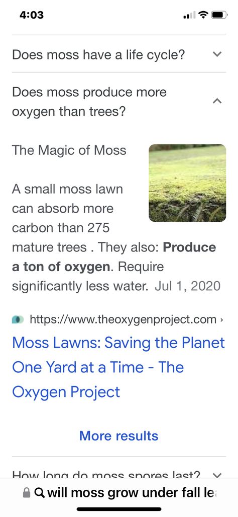 Moss Yard Ideas, Moss Lawn Front Yards, Moss Yard, Moss Lawns, Moss Lawn, Fairytale Bedroom, Front Yards, Yard Ideas, Safe Space