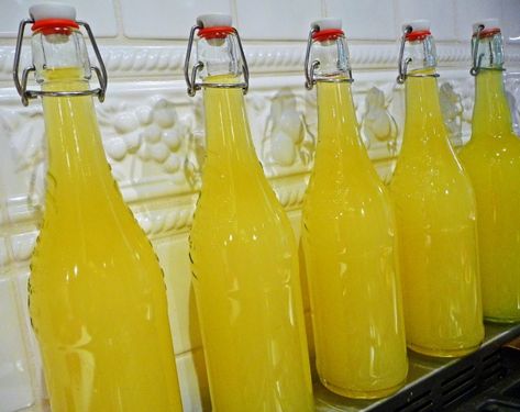 Lemon Cello Recipe, Lemon Cello, Homemade Liqueur Recipes, Lemon Farm, Farm Villa, Limoncello Recipe, Homemade Limoncello, Lemon Skin, Homemade Liquor