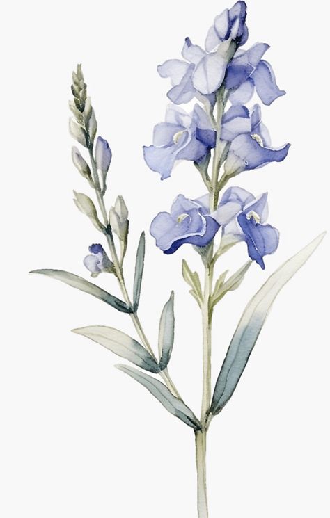 A watercolor design for a larkspur flower. This is one of July’s birth flowers! Larkspur Flower Watercolor, Larkspur Flower Aesthetic, Larkspur Illustration, Larkspur Painting, Larkspur Watercolor, July Birth Flowers, Watercolour Bouquet, Larkspur Flower Tattoo, Larkspur Flower Tattoos