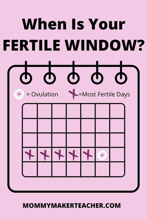 Ovulation Calendar, Fertility Cycle, Fertile Window, Ovulation Cycle, Ovulation Tracking, First Time Pregnancy, Home Pregnancy Test, Healthy Book, Chances Of Getting Pregnant