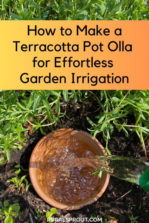 Water your garden when you're away with a terracotta olla. Homemade Ollas, Garden Guilds, Holistic Gardening, Diy Olla, Olla Pot, Crescent Rings, April Gardening, Gardening Inside, Gardening Tricks