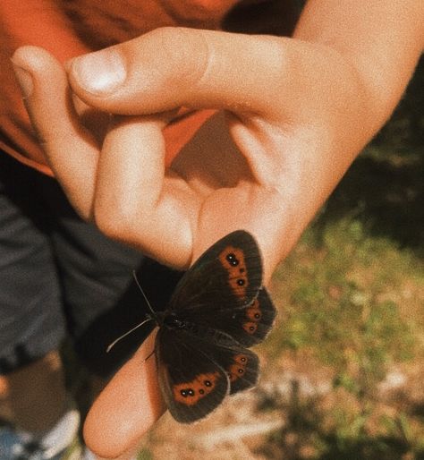 Red and black butterfly landed on finger Red Butterfly, Black Butterfly, Red, Art